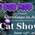 Cat show event flier