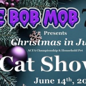 Cat show event flier