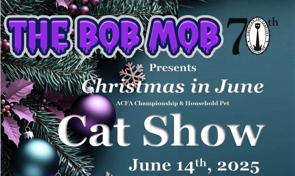 Cat show event flier