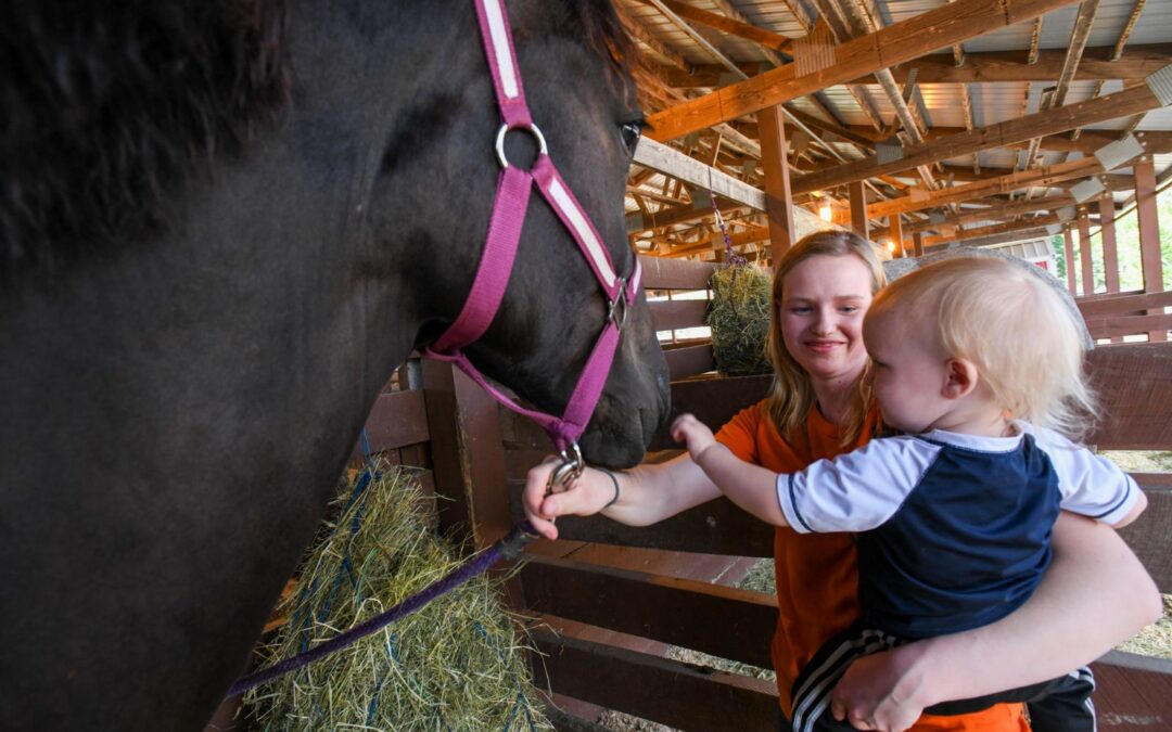 Tomah, Wisconsin Travel Guide: Best Family Adventures Year-Round