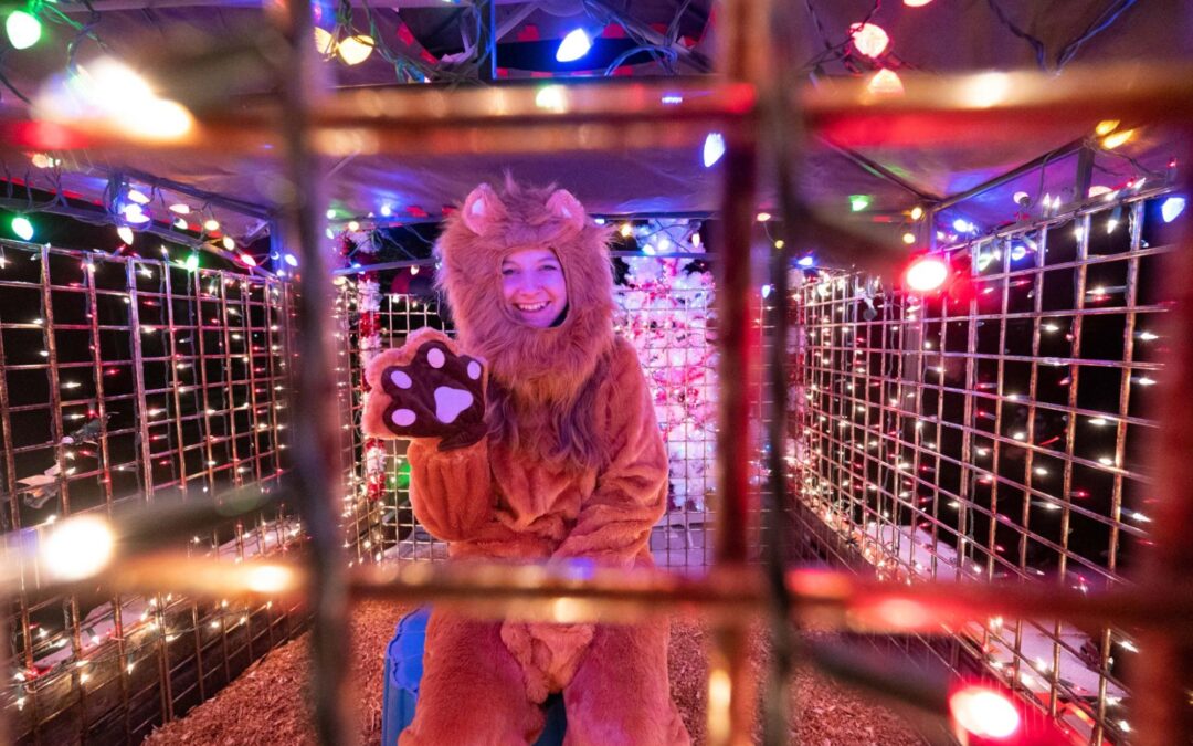 Chill Out in Tomah: Ice, Snow, and Local Traditions