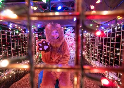 Chill Out in Tomah: Ice, Snow, and Local Traditions