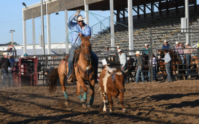A Guide to the Tomah Regional High School Rodeo: Ropes, Rides, and Rodeo Rivals