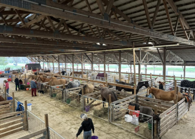 Tomah High School Regional Rodeo Association