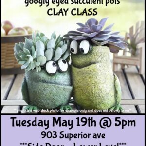Succulent pots with eyes looking at each.