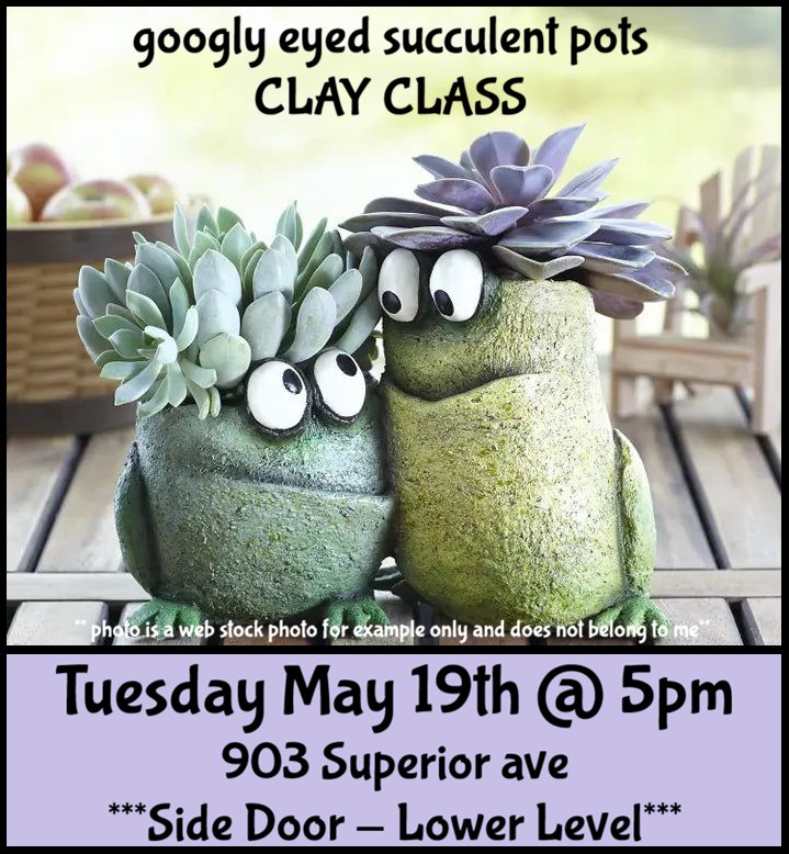 Succulent pots with eyes looking at each.