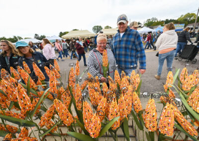 Discover Cranberry Country Near Tomah: Marsh Tours, Festivals & Local Attractions